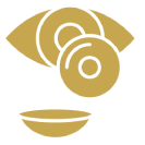 Medical Retina (Management of Diabetic Retinopathy)