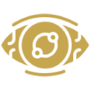 Glaucoma Management (Medical & Surgical)